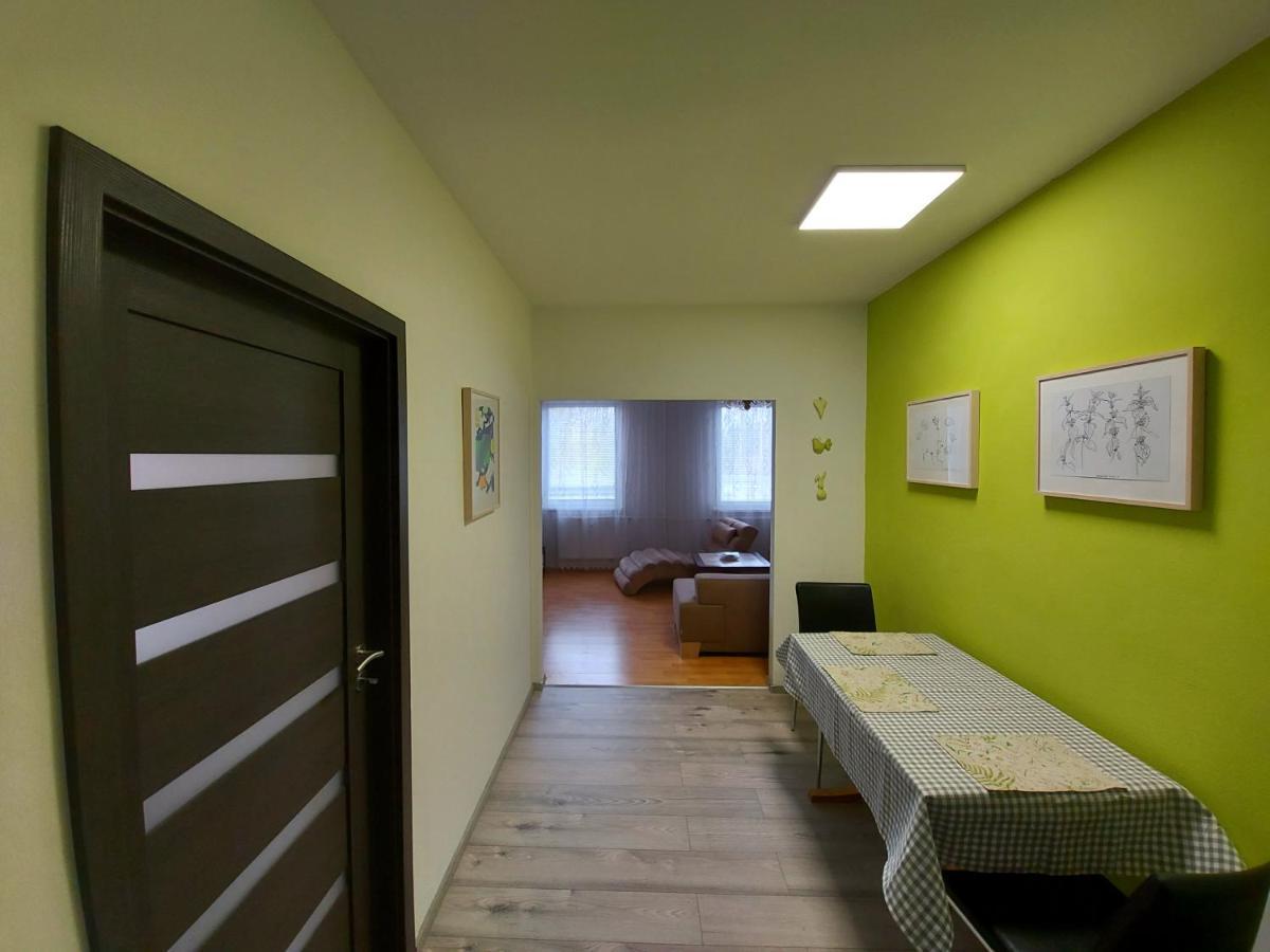 Apartman Eva - Plne Vybaveny Byt - Týn nad Vltavou Buitenkant foto